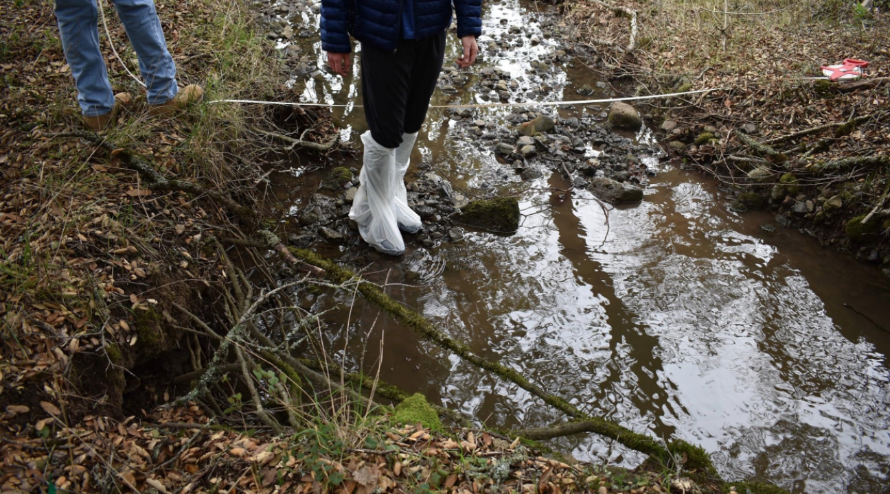 Students working on a transect line laid across a small stream