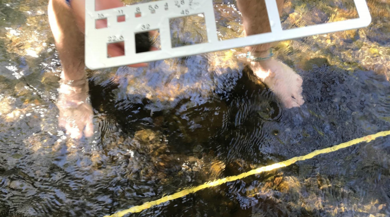 Student standing in creek holding gravelometer