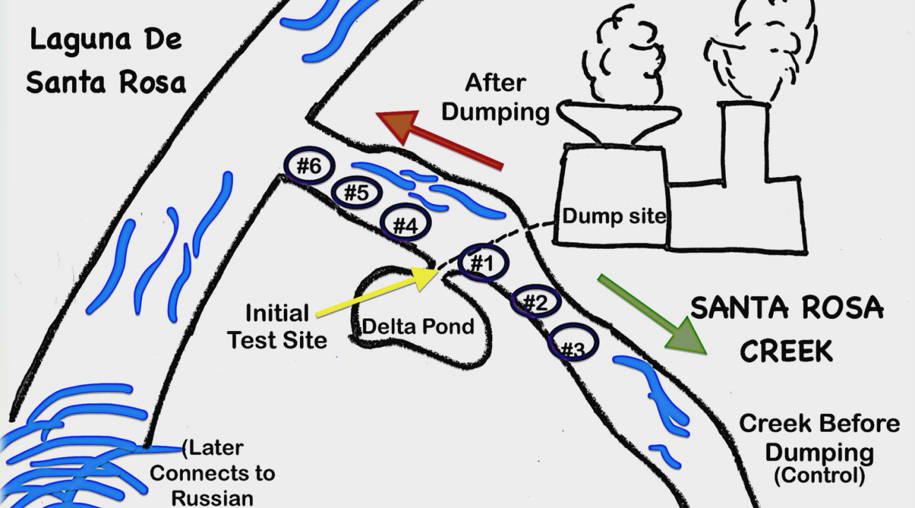 Diagram of water flow in Santa Rosa Creek and the Laguna de Santa Rosa