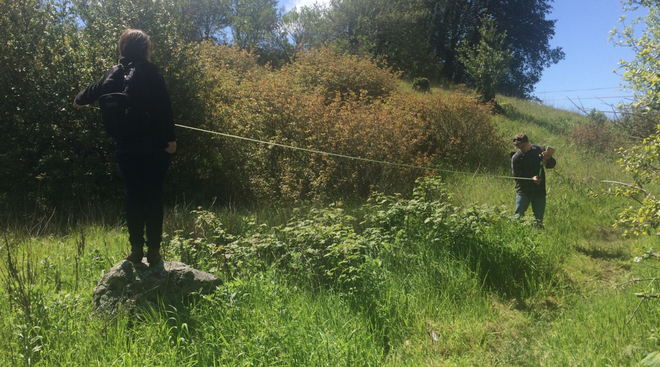 Two students assess blackberry along a transect line 