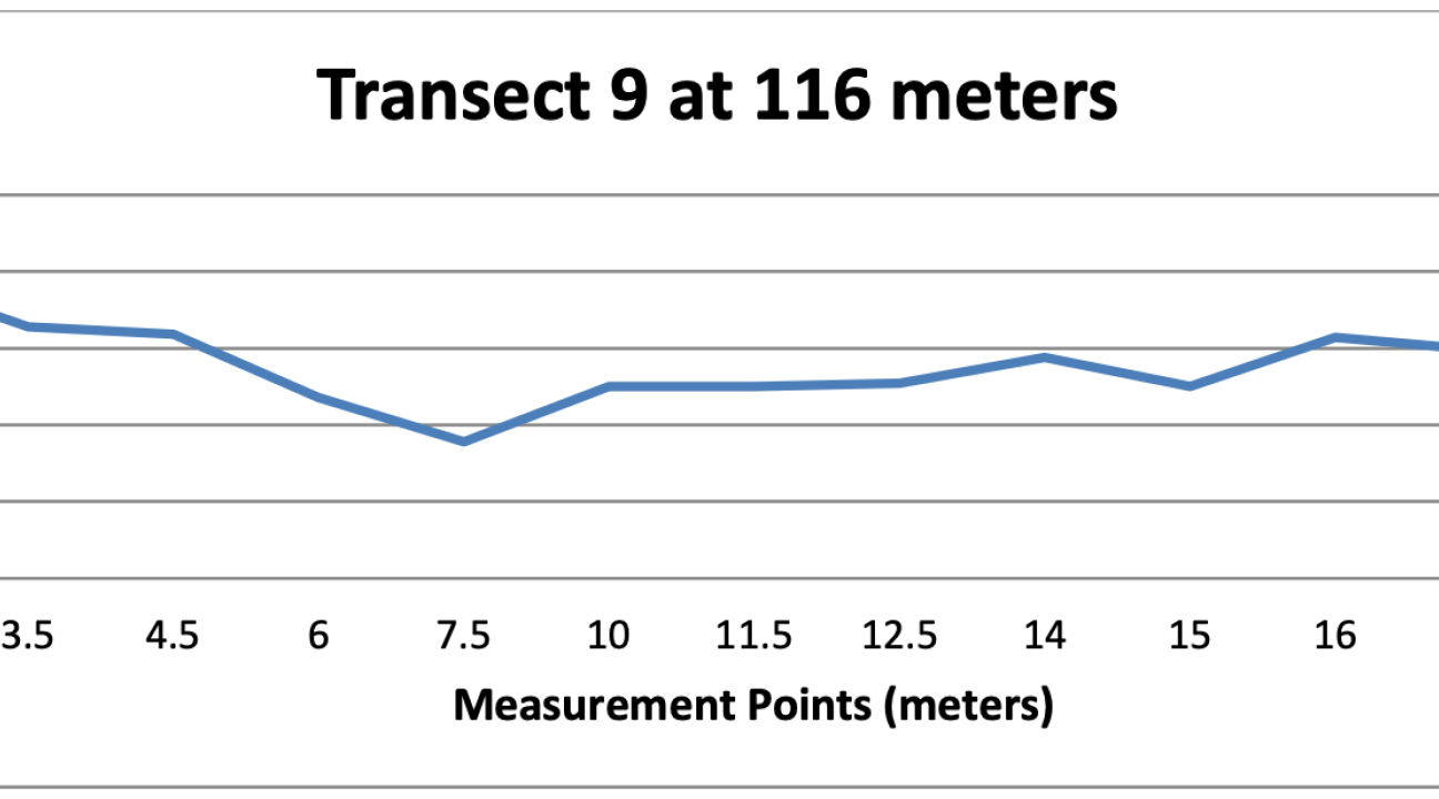 Profile of the creek along a transect