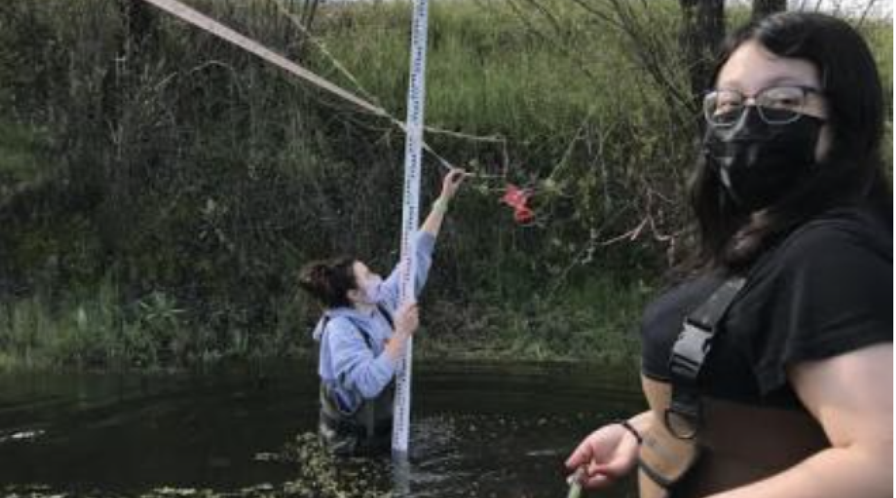 students take measurements in a creek