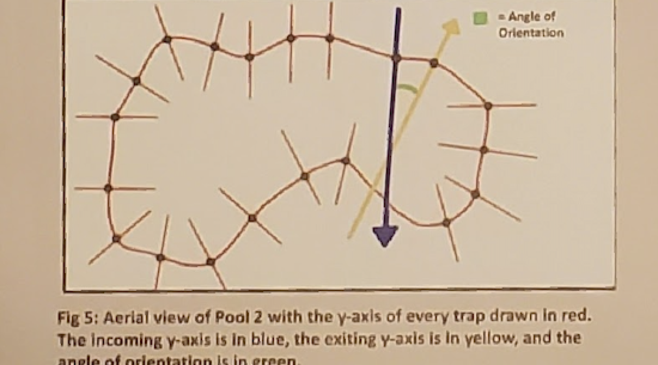 diagram of pool indicating traps