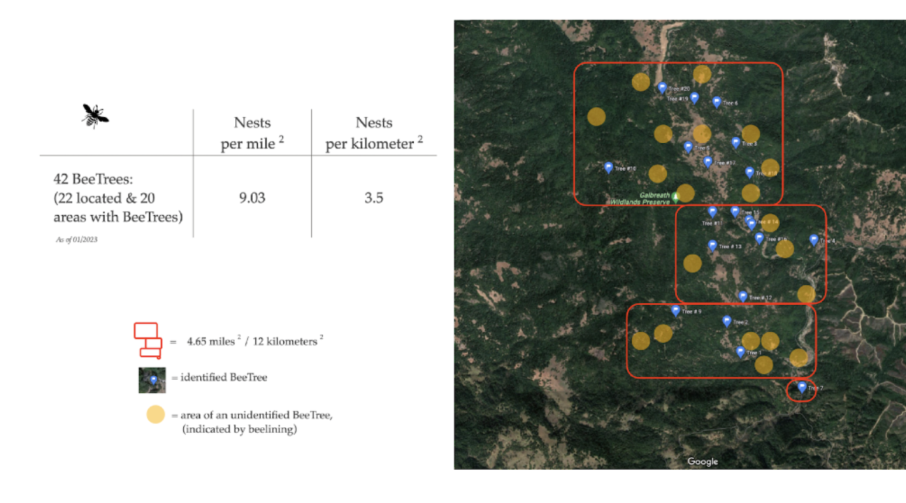 chart and map of bee sites at Galbreath Preserve