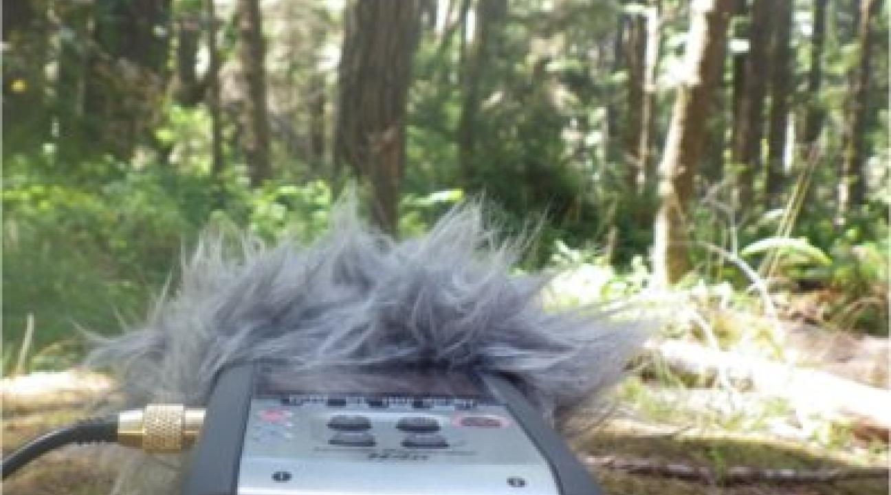 Soundscape Recorder