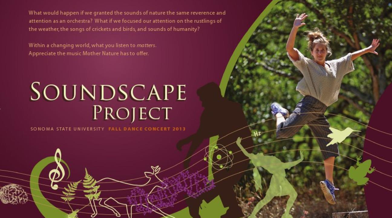 Poster of the soundscape project