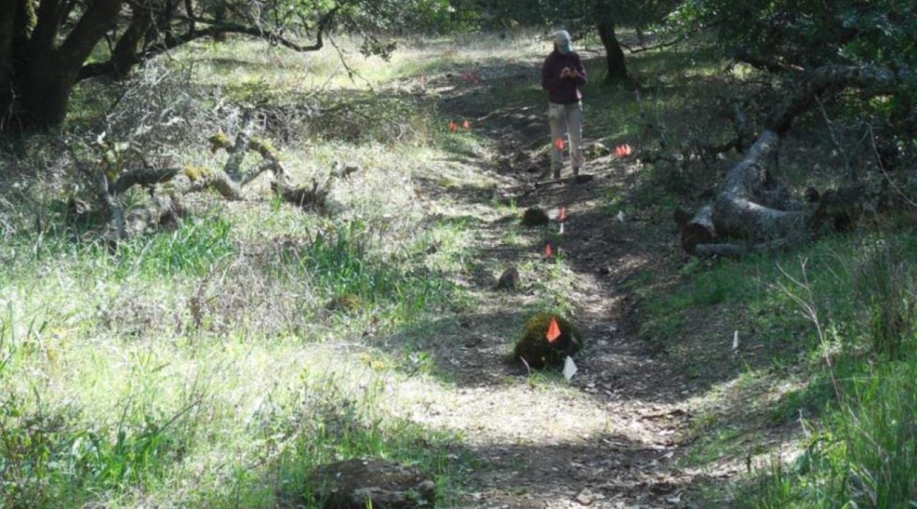 Student collecting data along a hiking trail