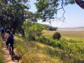 mountain bikers on a path under trees