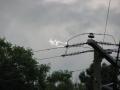 Arc of electricity between two power lines