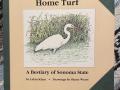cover of book "Home Turf"