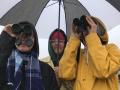 women bird watching with binoculars under an umbrella