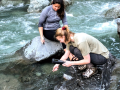 Students taking water samples in creek