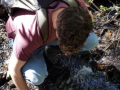 Student collecting water sample from stream