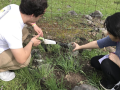 Students collecting soil samples