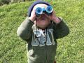 a toddler looks through binoculars on grass