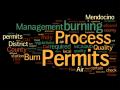 wordle of burn permit process management words