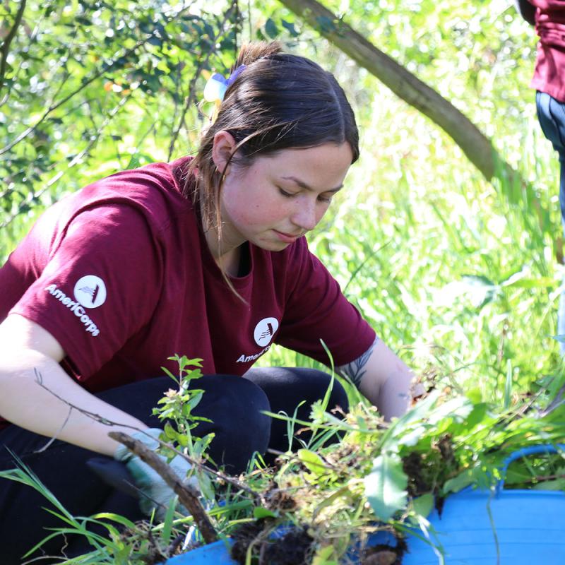 Americorps volunteer restoring along Copeland Creek