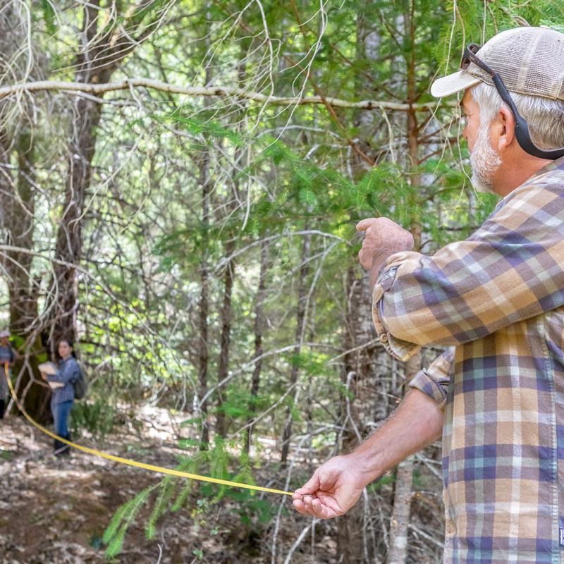 Andy Ballestraci measures a clearing