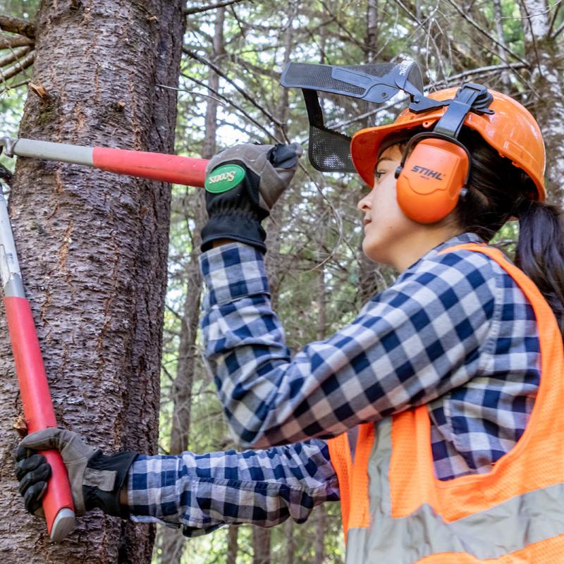 Pruning a tree at Galbreath