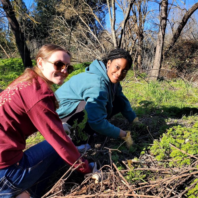 students rehabilitate land along Copeland Creek on the SSU campus