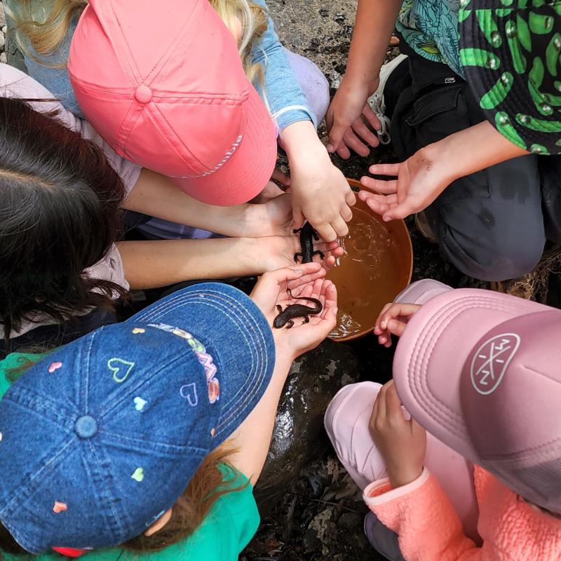 Students gathered looking at animal