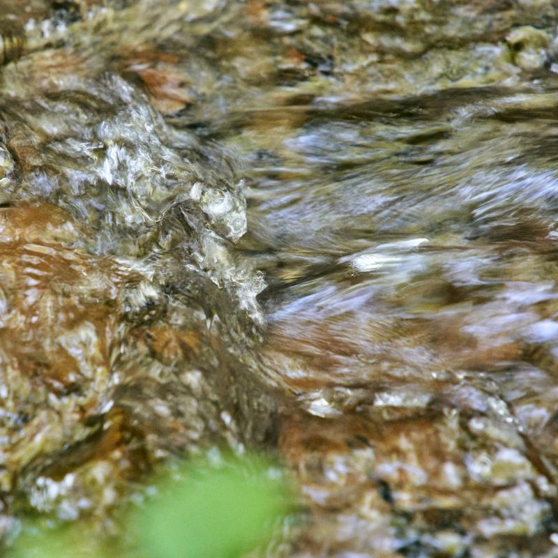 Rushing water in creek