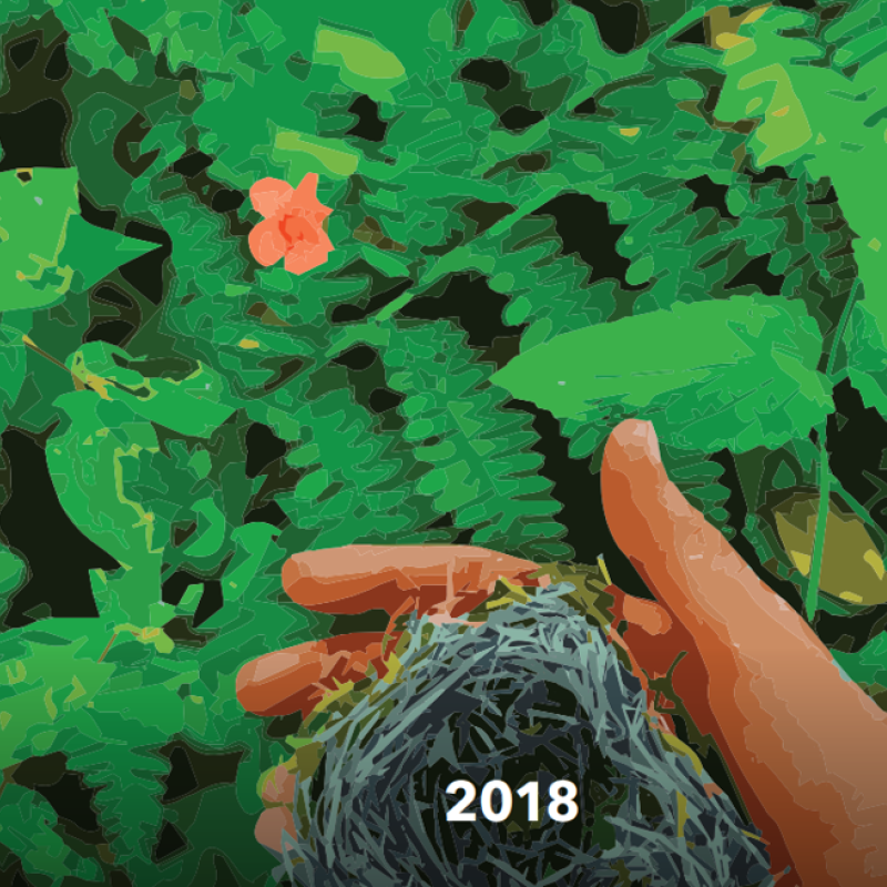 2018 Annual Report Cover - Square