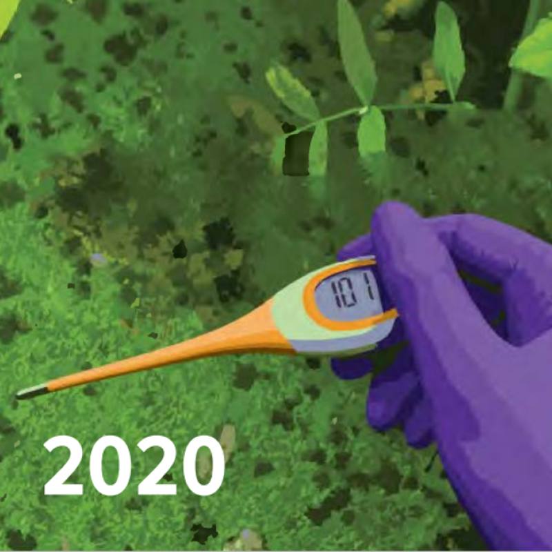 2020 Annual Report Cover - Square