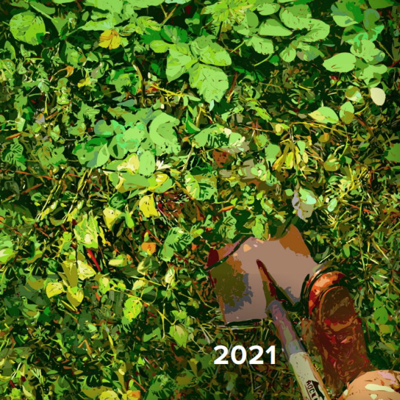 2021 Annual Report Cover - Square
