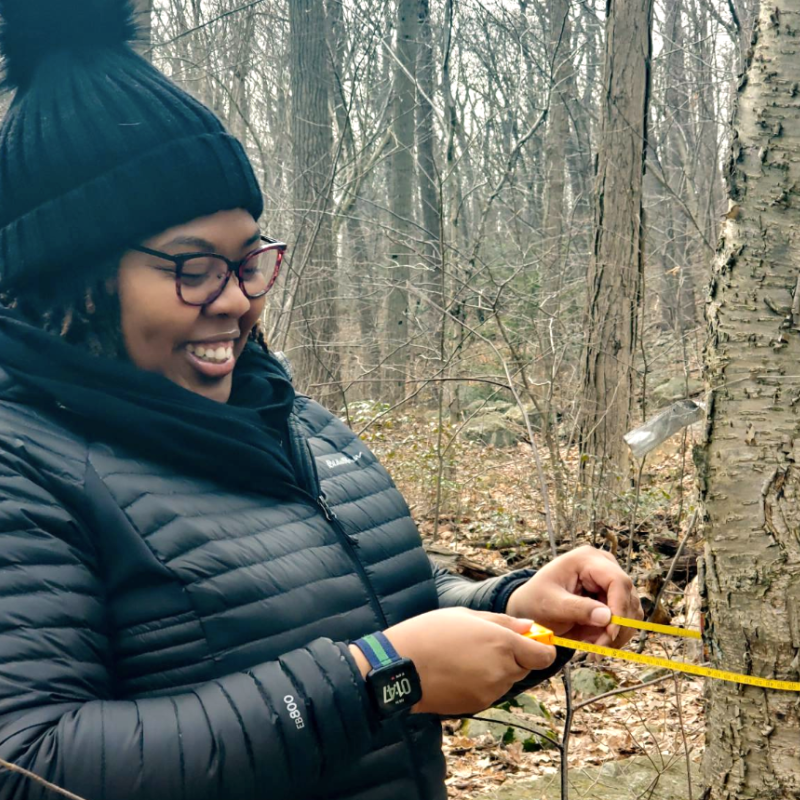 woman in winter clothes measuring a tree