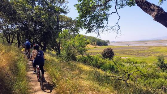 mountain bikers on a path under trees