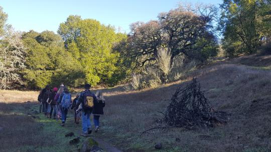 Families hike into the distance in a grassland at Osborn Preserve