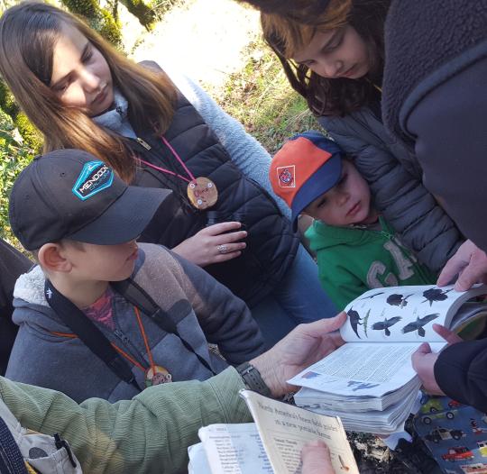 Children at last year's event look up a bird they observed in the field guide