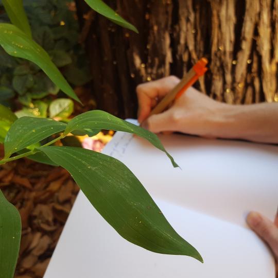 A hand writes in a journal on the forest floor