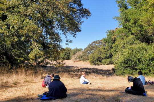 people sitting in a field writing in notebooks