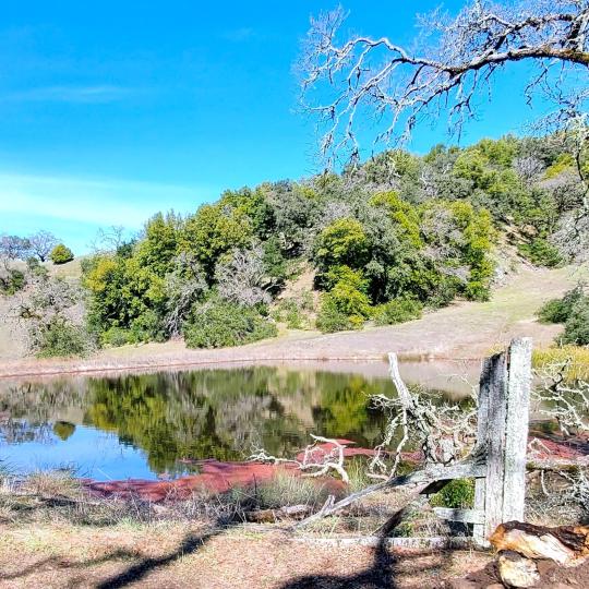 fence by pond in front of hill with trees