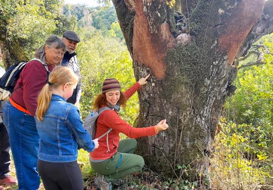 woman by an oak tree teaches people