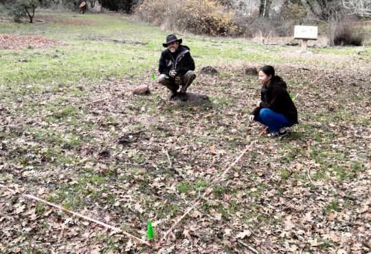 people kneel next to research plot