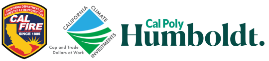 Logos_MA Forestry