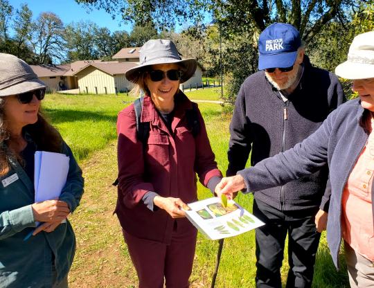 people in nature looking at SOD symptoms sheet