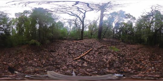 360 - RxBurn_Galbreth_Encroachment