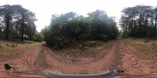 360 - RxBurn_Treated & Untreated_Galbreath