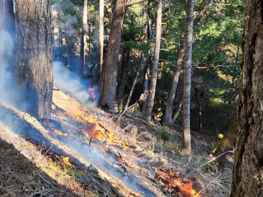 Still of Prescribed Burn