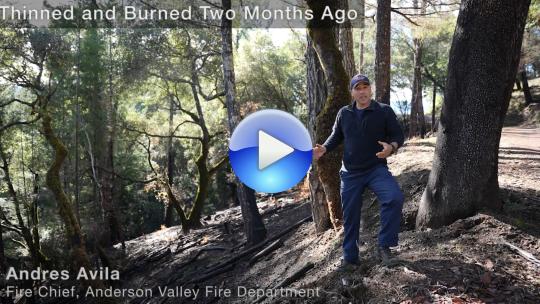 Andres Avila discusses site burned two months ago