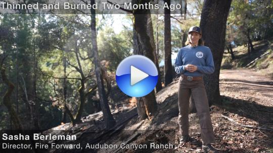 Sasha Berleman discusses a site burned two months ago