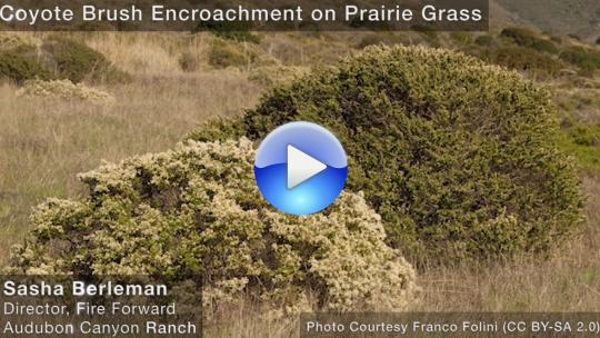 Sasha Berleman discusses encroachment 