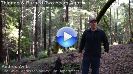 Andres Avila discusses site burned two years ago