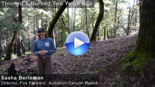 Sasha Berleman discusses site burned two years ago