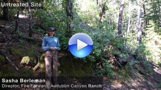 Sasha Berleman discusses an untreated site