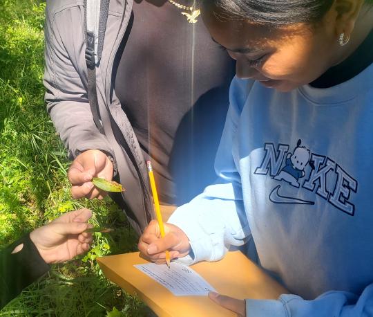 three people's hands holding leaves and a data sheet